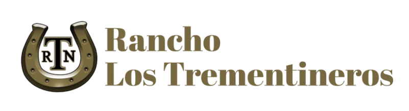 My Website